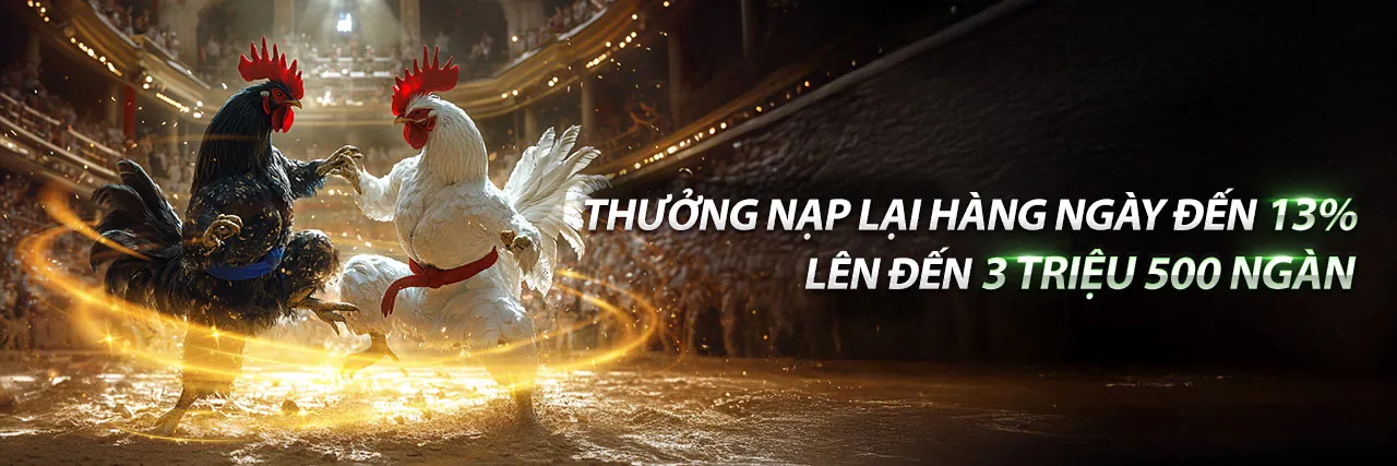 Đá gà trực tuyến kịch tính tại VL88 Win